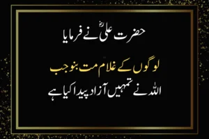 Hazrat Ali Quotes in Urdu About Love