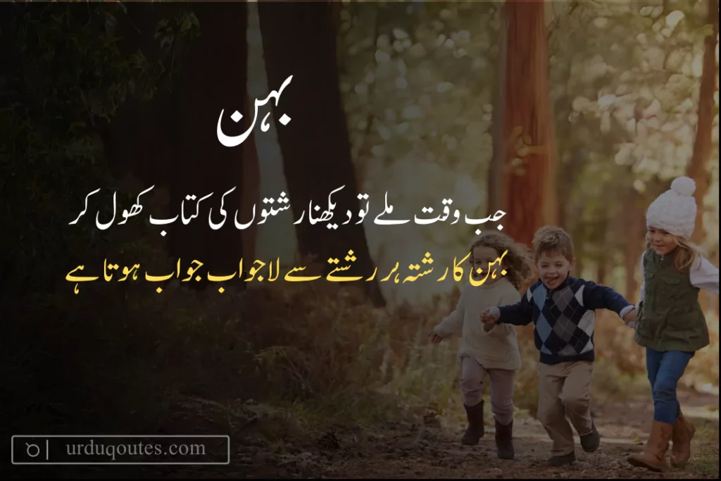 Brother and Sister Quotes in Urdu