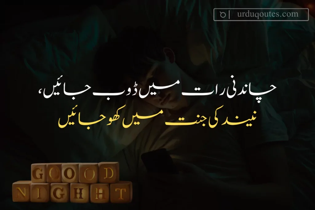Heart Touching Good Night Quotes