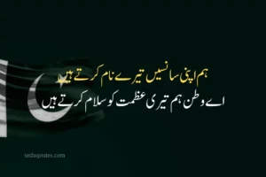 14 August Quotes in Urdu with Images