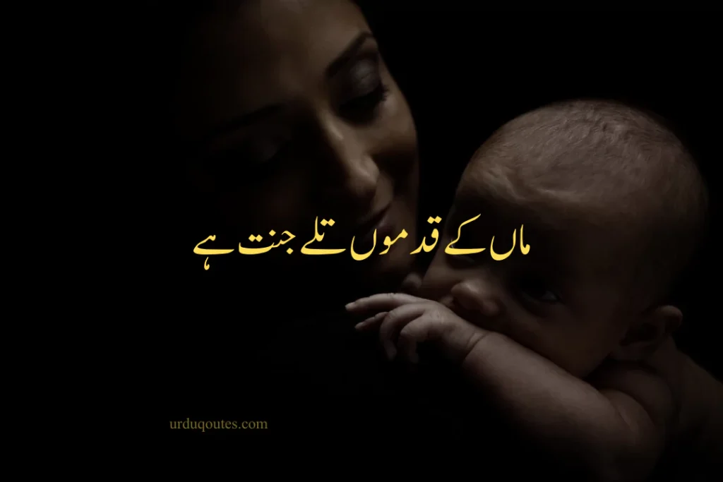 Lines for Mother in Urdu