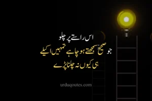 Quotes in Urdu About Life Reality